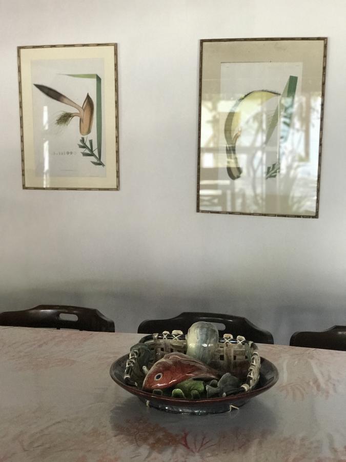 Casa Amor Do Mar Búzios Eksteriør billede